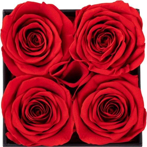 Ewige Rosenbox – Das perfekte Geschenk voller Liebe und Eleganz
