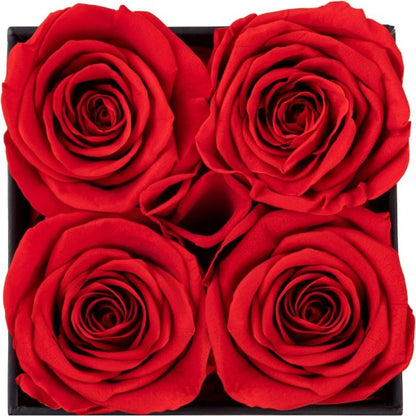 Ewige Rosenbox – Das perfekte Geschenk voller Liebe und Eleganz